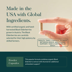 Gaia Herbs vegan capsules label showcasing plant‑based immune support.