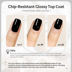 GAOY Top Coat curing under UV light in 60 seconds for a durable seal.