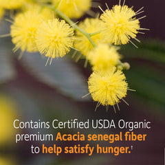Garden of Life Dr. Formulated Organic Fiber Powder stirred into water for a refreshing beverage