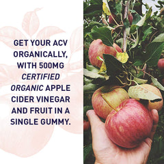 Closeup of Garden of Life Organics ACV Gummies showing texture and color