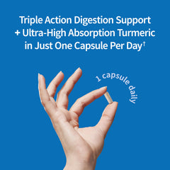 Garden of Life Sport Probiotics turmeric extract highlighting high absorption formula.