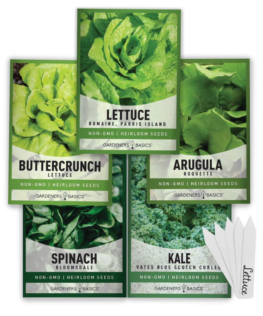 Gardeners Basics 5-varieties greens seed pack ideal for home gardens and indoor hydroponics.