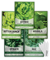 Gardeners Basics 5-varieties greens seed pack ideal for home gardens and indoor hydroponics.