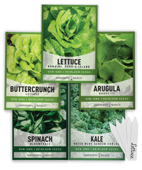 Gardeners Basics 5-varieties greens seed pack ideal for home gardens and indoor hydroponics.