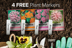 Gardeners Basics Milkweed Common seeds packet supports monarch caterpillars.