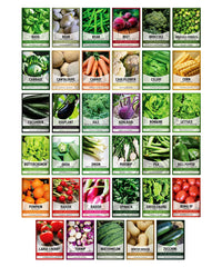 Gardeners Basics seed packets collection visible, ideal for organized storage and garden planning