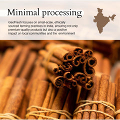 Measuring spoon with Geo-Fresh Cinnamon Powder for recipes.