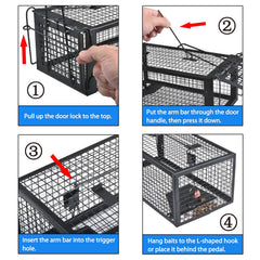 Gingbau Live Rat Trap in use, auto door lock prevents escape