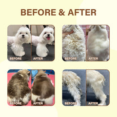 GJYC PET Fur Care Oil applied on dog coat for smoother fur.