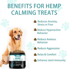 GKD Calming Chews – moment relaxant pour chien sensible et stressé.
