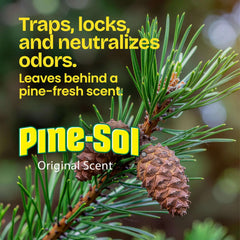 Glad Pine-Sol Original Scent release visible in packaging for fresh ambiance.