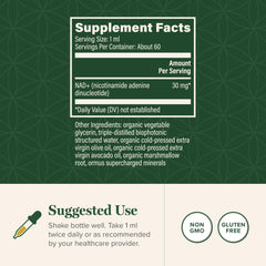 Global Healing liposomal NAD delivery emphasizes improved bioavailability and absorption.
