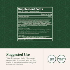 Close-up of Global Healing Center Ultimate Probiotic capsules for everyday digestion