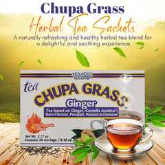 GN+Vida ginger-gotu-kola-cinnamon ingredients highlight a natural, flavorful tea for daily vitality.
