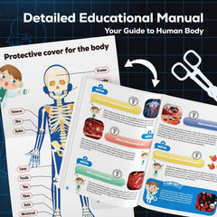GobiDex 40 piece anatomy kit offering bones muscles and organs
