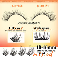 Goddvenus DIY lash extension setup for at-home salon-quality results.