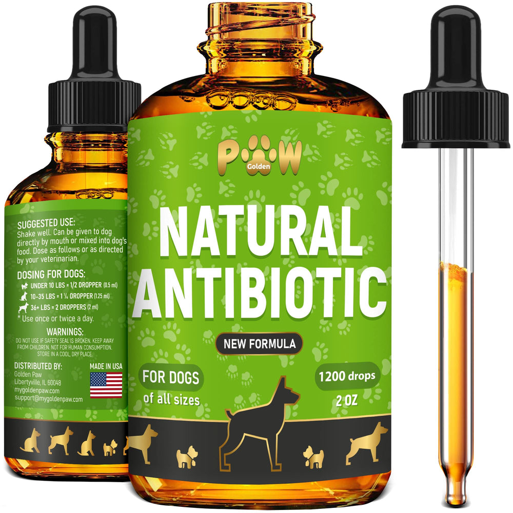 Golden Paw antibiotics for dogs bottle demonstrating infection support and easy dropper administration