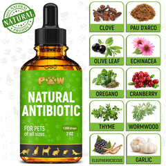 Golden Paw antibiotics ingredients label highlights cranberry, echinacea, and oregano for natural support.