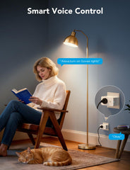 Govee Smart Plug scheduling enables automated routines