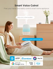 GoveeLife 3in1 humidifier diffuser enabling aromatherapy and humidity control.
