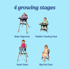 Graco Ready2Dine DLX toddler feeding seat promotes independent eating.