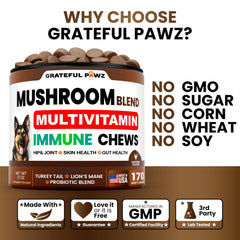 Grateful Pawz hip & joint chews aid mobility in dogs.