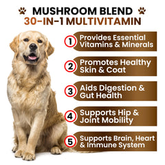 Grateful Pawz vet-formulated USA-made label signaling trusted ingredients.