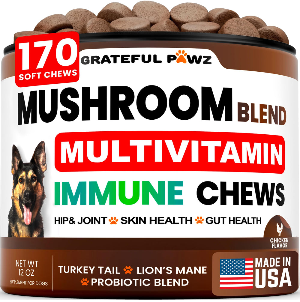 Grateful Pawz turkey-tail bottle promoting immune support for dogs.