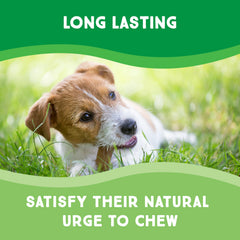 GreenCow Rawhide Chips dog chewing close-up for aggressive chewers.
