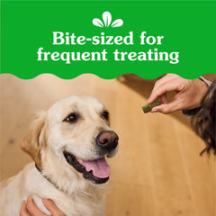 Pouch-ready Greenies Anytime Bites for on-the-go training sessions.