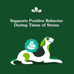 Greenies calming chews ingredient panel highlights no artificial flavors or colors