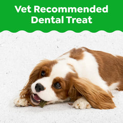 Greenies dental treats offer breath-freshening benefits for dogs.