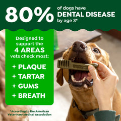 Greenies regular-size dental chews for dogs 25-50 lbs shown for daily use.