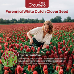 Groundio annual red clover seeds 2 lb bag ready for lawn alternatives.
