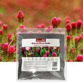 Groundio crimson clover seeds packaging showcases Nitrocoated quality for reliable germination.