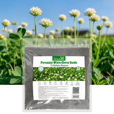 Groundio clover seeds form a lush lawn cover with white blooms.