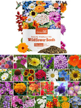 Groundio wildflower seeds bulk 26-variety mix in a resealable package for freshness.
