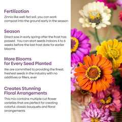 Groundio Zinnia seeds mix yellow blooms attract pollinators in sunny borders.