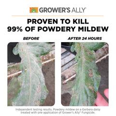 Grower's Ally spray applied to indoor plants for mildew prevention.