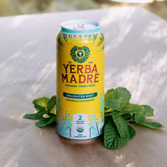 Guayaki Yerba Madre can emphasizes polyphenols and smoother energy.