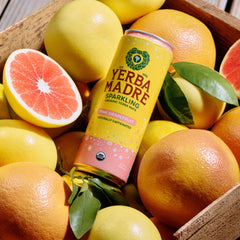 Guayaki Yerba Madre regenerative organic-certified farming highlights ethical sourcing