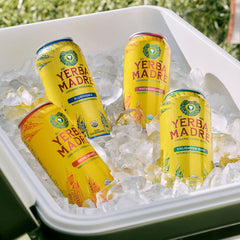 Guayaki Yerba Madre Revel Berry packaging emphasizes regenerative sourcing