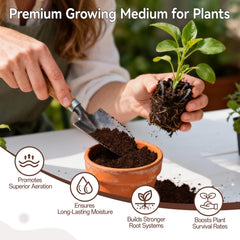 Halatool indoor plants thriving in well-drained soil from coir pellets