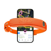Halo Collar 5 with GPS boundary map for real-time safety.