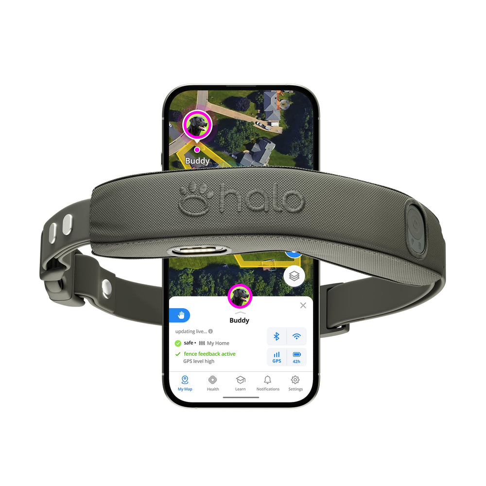 Halo Collar 5 precision GPS with satellite tracking for precise outdoor location.