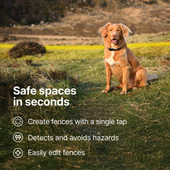 Halo Collar 5 satellite accuracy with GPS reduces drift for reliable containment.