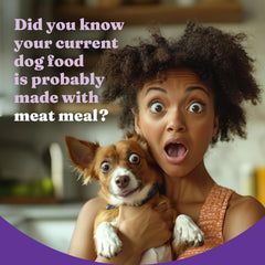 Halo Holistic vegan dog food made in USA emphasizing high-quality ingredients.