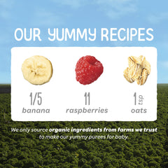 Gluten-free vegan Happy Baby Organics pouch label for plant-based nutrition