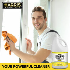 HARRIS Cleaning Vinegar on stainless steel to remove smudges.