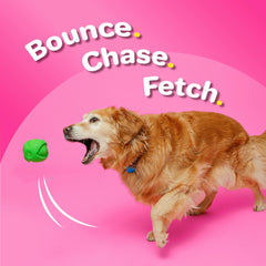 Hartz DuraPlay rocket squeaky toy provides light throw and bounce.